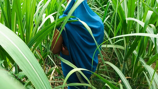 Desi bhabhi ki chudai mouth and gand in sugarcane field in Indian porn sex tape