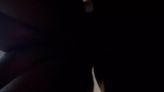 Doggystyle with web camera under view