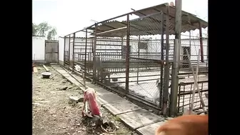 Crudeli Sevizie in un Campo di Concentramento (Full Tape)